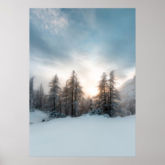 Solen bakom granar poster (Framsidan)