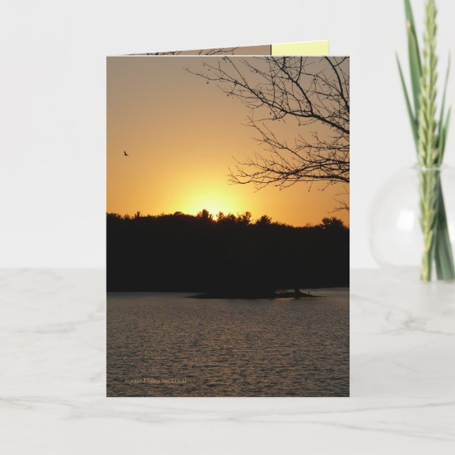 Solen besegrar kort (Framsida)