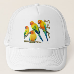 Solen Conure mekaniskt säga efter hatten Keps
