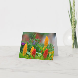 Solen färgar Notecard Kort