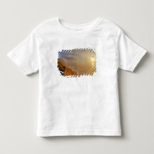 Solen går ner över Stilla havet från Heceta T-shirt