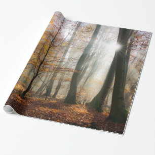 Solen Rays den Mystic dimmiga skogen, gåva Presentpapper