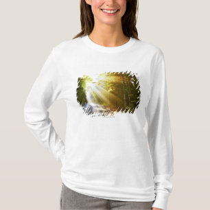 Solen strålar till och med skog i t-shirt