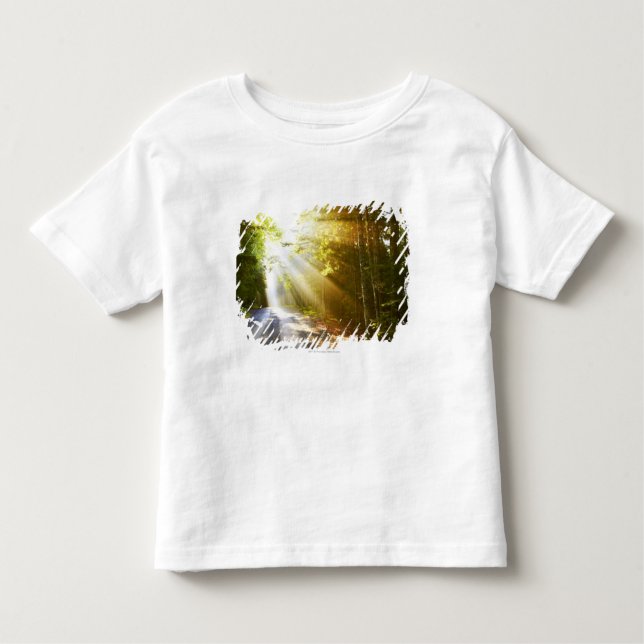 Solen strålar till och med skog i tee shirt (Framsida)