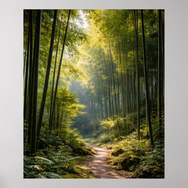 Solenbelyst stig genom bambuskog poster (Framsidan)
