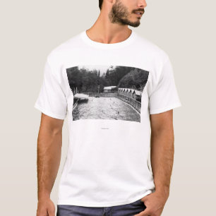Solenoider Duc Hot Springs, WA-simbassäng T Shirt