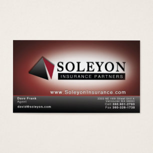 Soleyon 2 visitkort