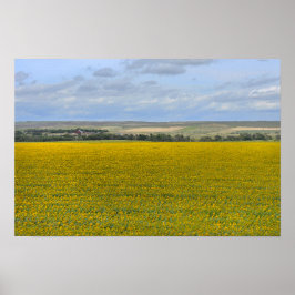 Solfält i South Dakota, målerisk Poster