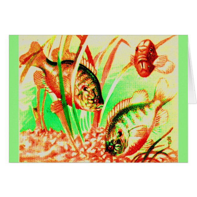 Solfisktryck i sötvatten OBS kort (Framsidan Horizontal)