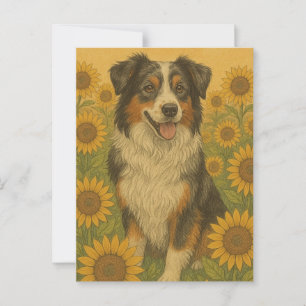 Solfjäder Australian Shepherd                      Vykort