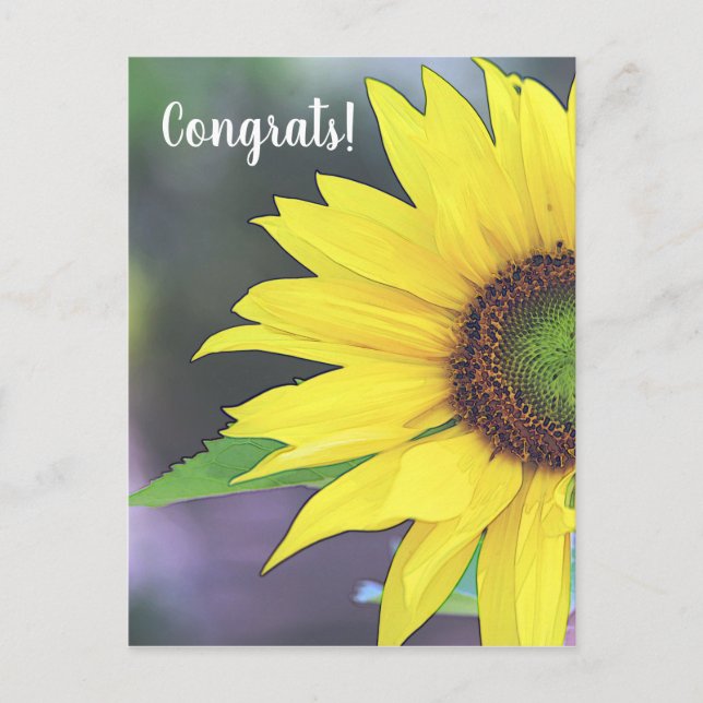 Solfjäder Digital Vattenfärg 2 Vykort (Framsida)