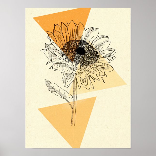Solfjäder Poster (Framsidan)