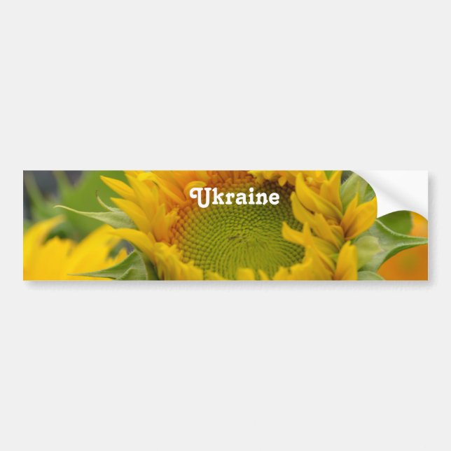 Solfjäderblomma Bildekal (Framsidan)