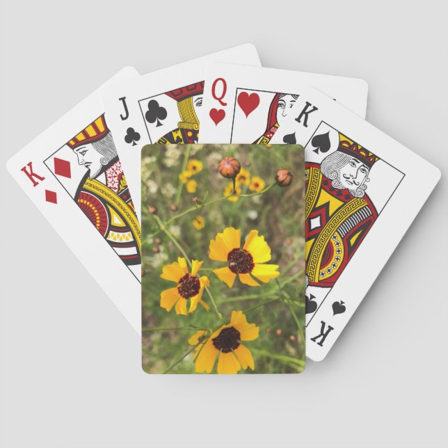 Solfjäderblomma Casinokort (Baksidan)