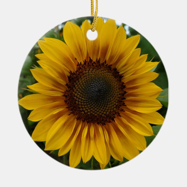 Solfjäderblomma  julgransprydnad keramik (Framsidan)