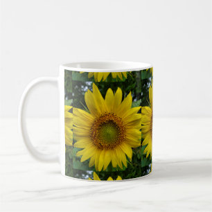 Solfjäderblomma Kaffemugg