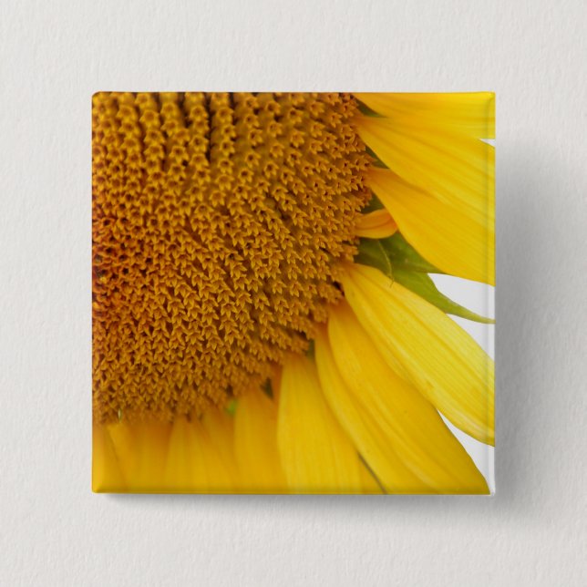Solfjäderblomma Knapp (Framsida)