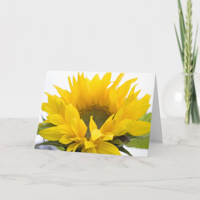 Solfjäderblomma Kort (Framsida)