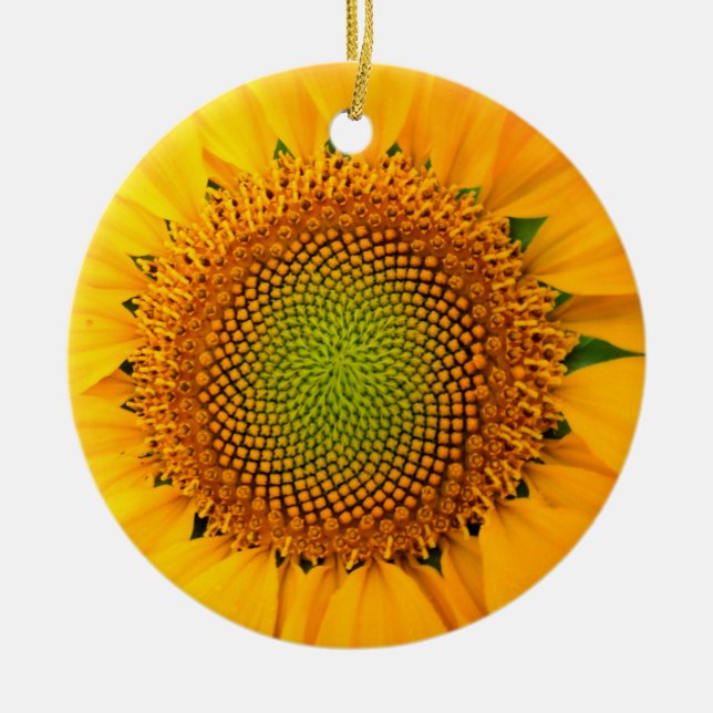 Solfjäderblomma och frön, Spiral, Gyllene snittet  Julgransprydnad Keramik (Framsidan)