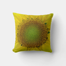 Solfjäderblomma och frön, Spiral, Gyllene snittet Kudde