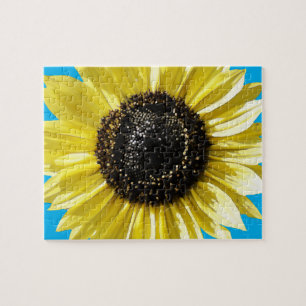 Solfjäderblomma Pussel
