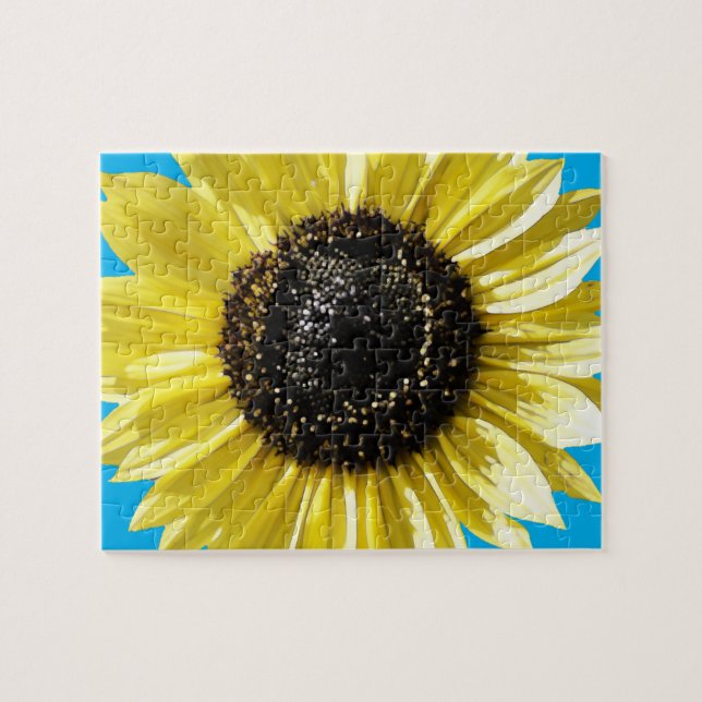 Solfjäderblomma Pussel (Horisontell)