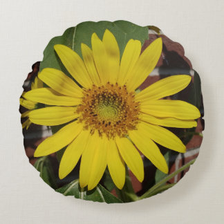 Solfjäderblomma Rund Kudde