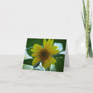 Solfjäderblomma Tack Kort