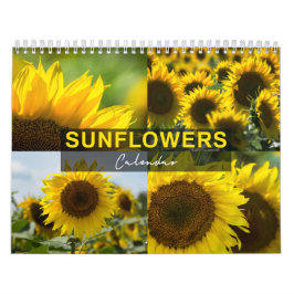 Solfjäderkalender - Fotokollektion Kalender