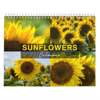 Solfjäderkalender - Fotokollektion Kalender
