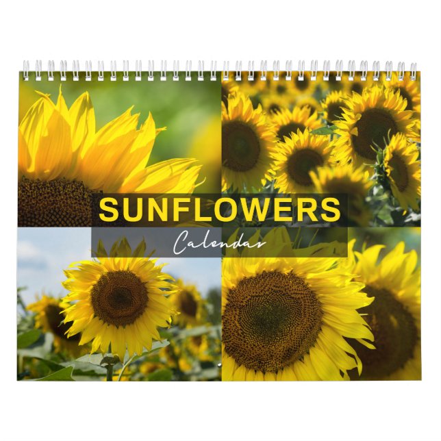 Solfjäderkalender - Fotokollektion Kalender (Omslag)