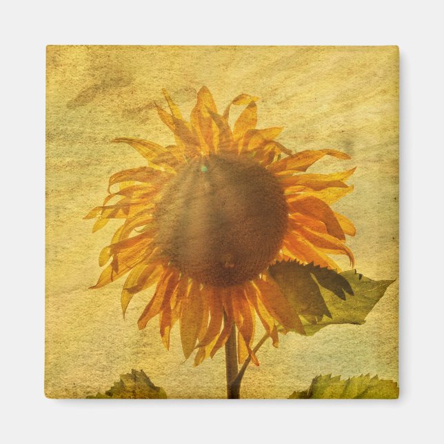 Solfjälken Magnet (Framsidan)