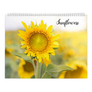 Solfjällar Kalender