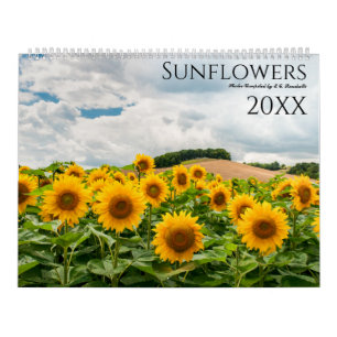 Solfoto Väggkalender 2027 Kalender
