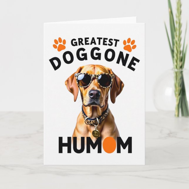 Solglasögon Hund Kort (Framsida)