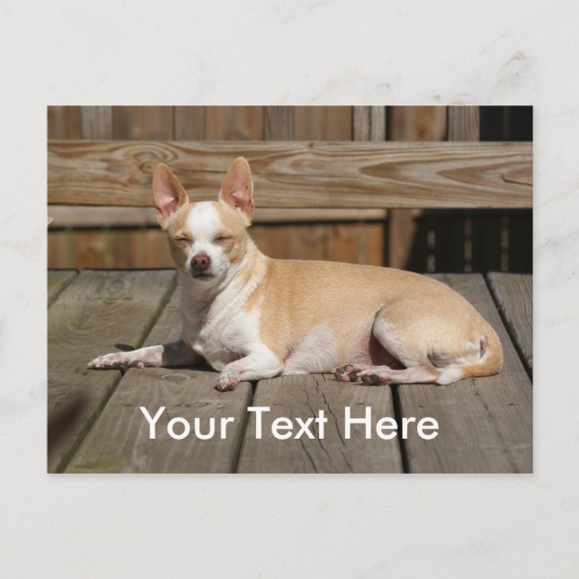 Solgudinna Vykort (Framsida)