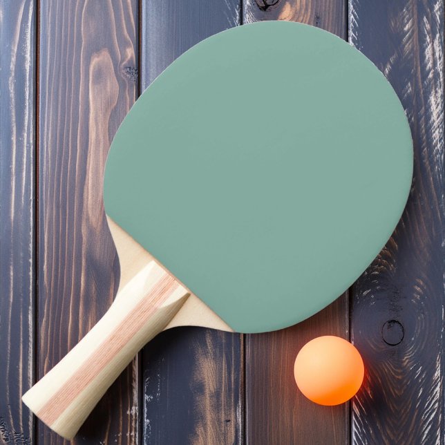Solid Aqua Rev Color Pingisracket (Skapare uppladdad)