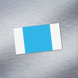 Solid Cyan Blue Background Magnetiska Visitkort
