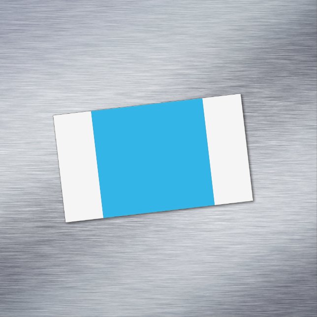 Solid Cyan Blue Background  Magnetiska Visitkort (In Situ)