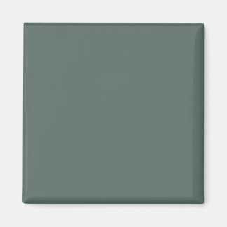 Solid Färg Cool Neutral Grön Underton 2026 COTY Magnet
