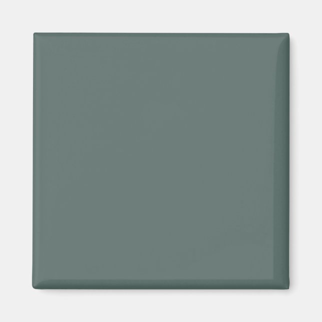 Solid Färg Cool Neutral Grön Underton 2026 COTY Magnet (Framsidan)