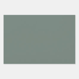 Solid Färg-minimalistisk Dusty Grått Sage-Grönt