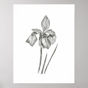 Solid Iris-utskrift Poster