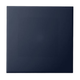 Solid Midnight Blue | #121d34 Kakelplatta