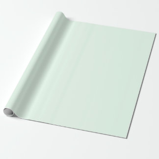 Solid Pastel Mint Presentpapper