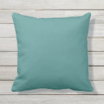 Solid Peacock Teal Kudde<br><div class="desc">Heldragen färg-kudde Teal. För dem som du vill DIY: Underbar anpassningsbar Template for Dekorativ kudde. Anpassade fyllningar. Anpassa med ditt eget namn, mönster, design, citat, monogram eller foto. Använda våra coolor mallar, teckningar, foton, grafik och illustrationer och lägg sedan till namn, text, citattecken och monogram för att skapa dekorativ kudde....</div>