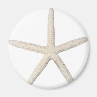 Solid Starfish Magnet