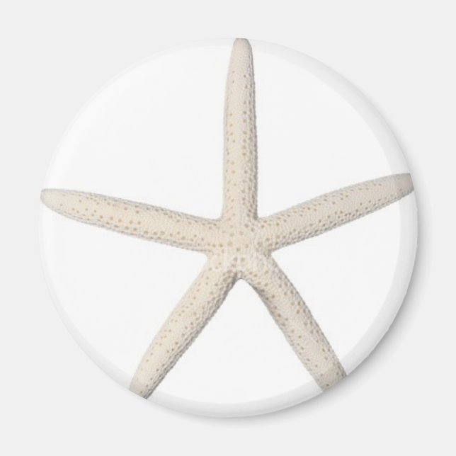 Solid Starfish Magnet (Framsidan)