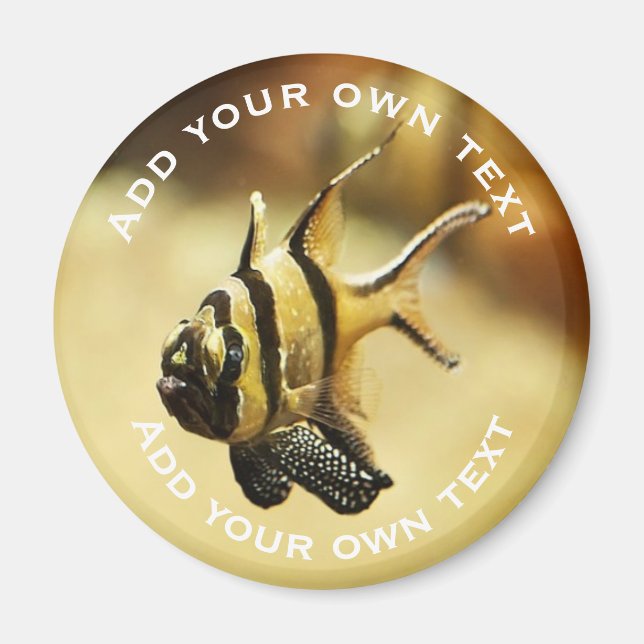 Solid Stripy Angelfish Underwater Anpassningsbar T Magnet (Framsidan)