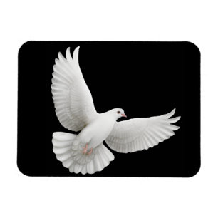 Solid White Dove Premium Magnet